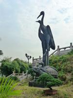 243 Kraniche &ndash; &copy; Sandra Schack (Eberhardt TRAVEL)