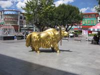 Lhasa - Goldenes Yak &ndash; &copy; Annette Zocher (Eberhardt TRAVEL)