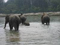 Elefanten baden &ndash; &copy; Annette Zocher (Eberhardt TRAVEL)