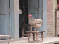 Bhaktapur &ndash; &copy; Vicky Kern (Eberhardt TRAVEL)