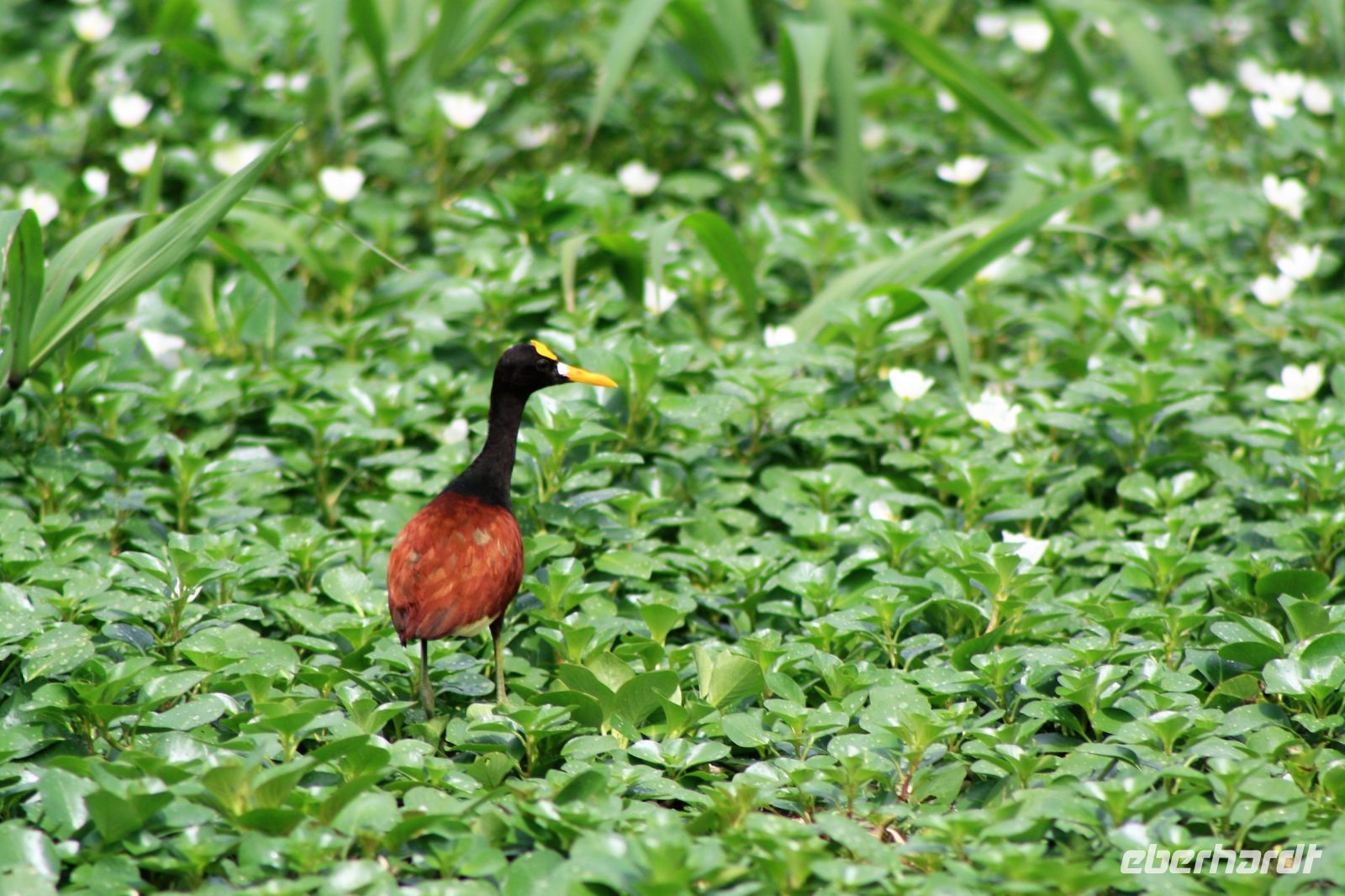 11. Tag - 24.10.21.JPG &ndash; &copy; Christin Kuschka (Eberhardt TRAVEL)