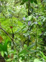 P1050316 &ndash; &copy; Sylvia Sann (Eberhardt TRAVEL)