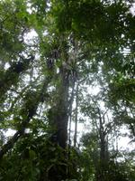 P1050317 &ndash; &copy; Sylvia Sann (Eberhardt TRAVEL)