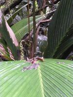 P1050333 &ndash; &copy; Sylvia Sann (Eberhardt TRAVEL)