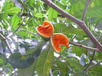 P1050370 &ndash; &copy; Sylvia Sann (Eberhardt TRAVEL)