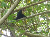 P1050393 &ndash; &copy; Sylvia Sann (Eberhardt TRAVEL)