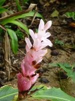 P1050416 &ndash; &copy; Sylvia Sann (Eberhardt TRAVEL)
