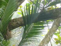 P1050421 &ndash; &copy; Sylvia Sann (Eberhardt TRAVEL)