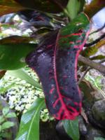 P1050489 &ndash; &copy; Sylvia Sann (Eberhardt TRAVEL)