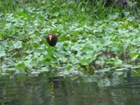 P1050531 &ndash; &copy; Sylvia Sann (Eberhardt TRAVEL)