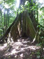 P1050758 &ndash; &copy; Sylvia Sann (Eberhardt TRAVEL)