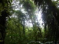 P1050803 &ndash; &copy; Sylvia Sann (Eberhardt TRAVEL)