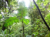 P1050818 &ndash; &copy; Sylvia Sann (Eberhardt TRAVEL)