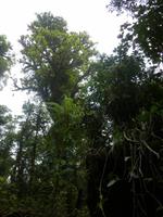 P1050837 &ndash; &copy; Sylvia Sann (Eberhardt TRAVEL)