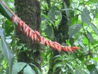 P1050846 &ndash; &copy; Sylvia Sann (Eberhardt TRAVEL)