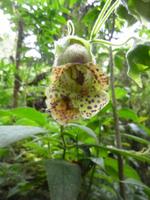 P1050887 &ndash; &copy; Sylvia Sann (Eberhardt TRAVEL)