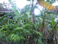 P1060158 &ndash; &copy; Sylvia Sann (Eberhardt TRAVEL)