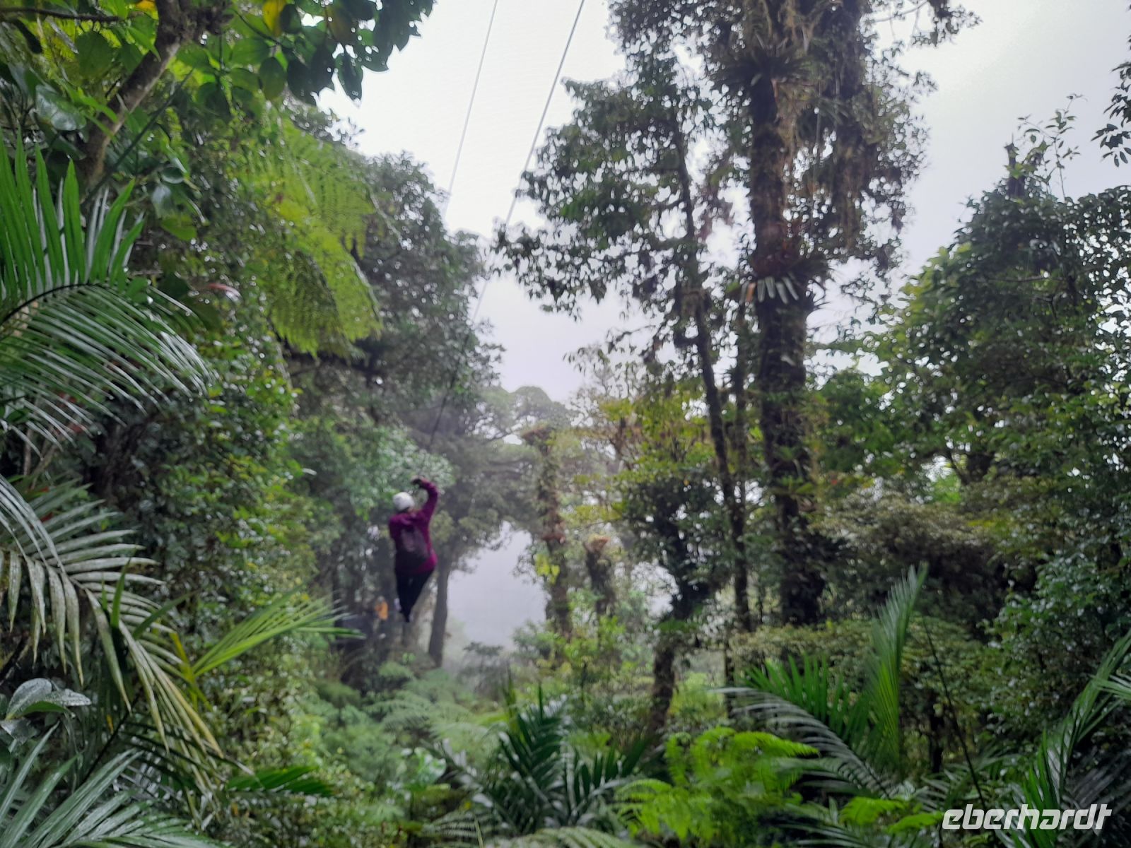 Canopy Tour in Monteverde &ndash; &copy; Sinah Witzig (Eberhardt TRAVEL)