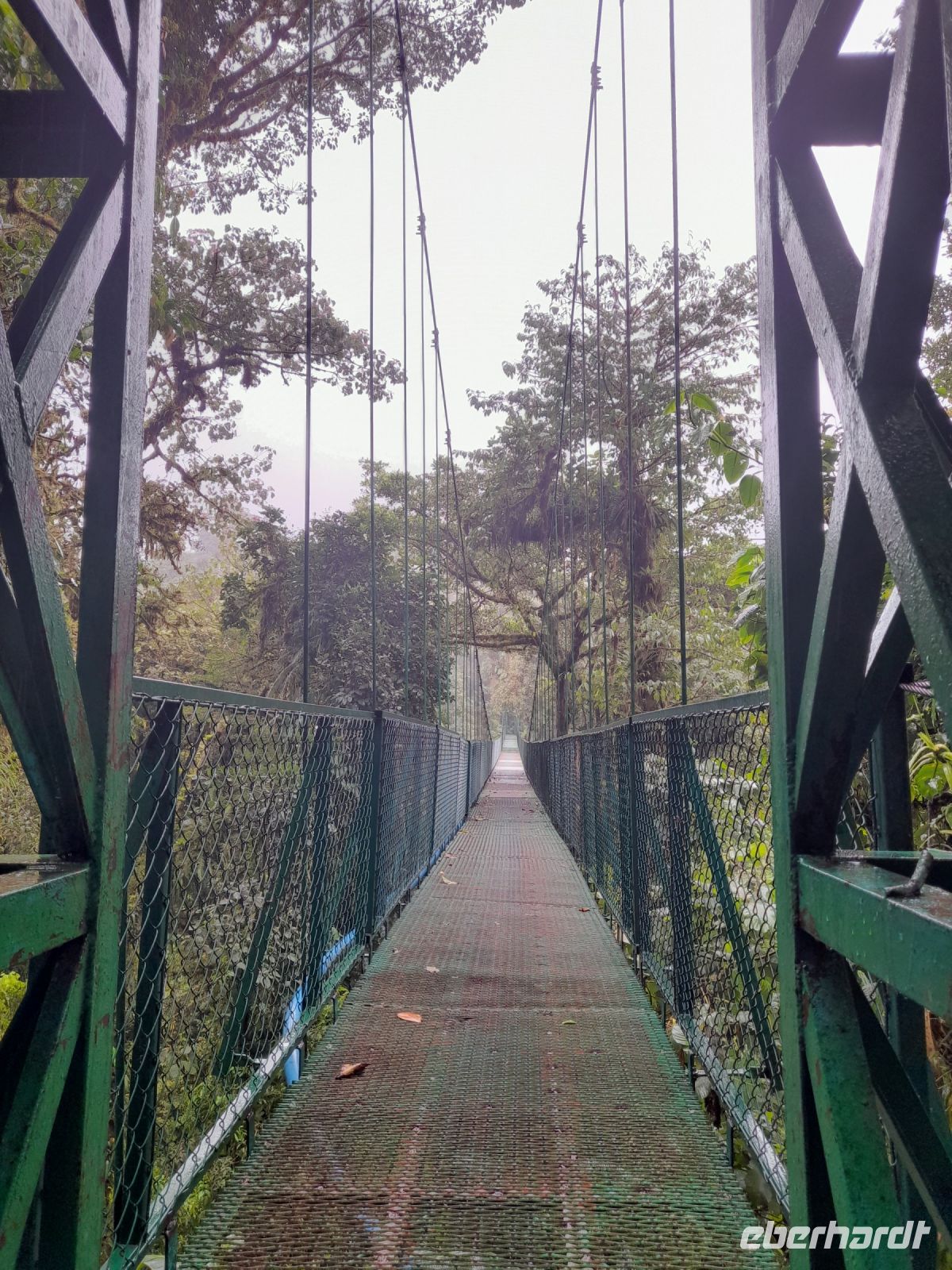 Monteverde &ndash; &copy; Sinah Witzig (Eberhardt TRAVEL)