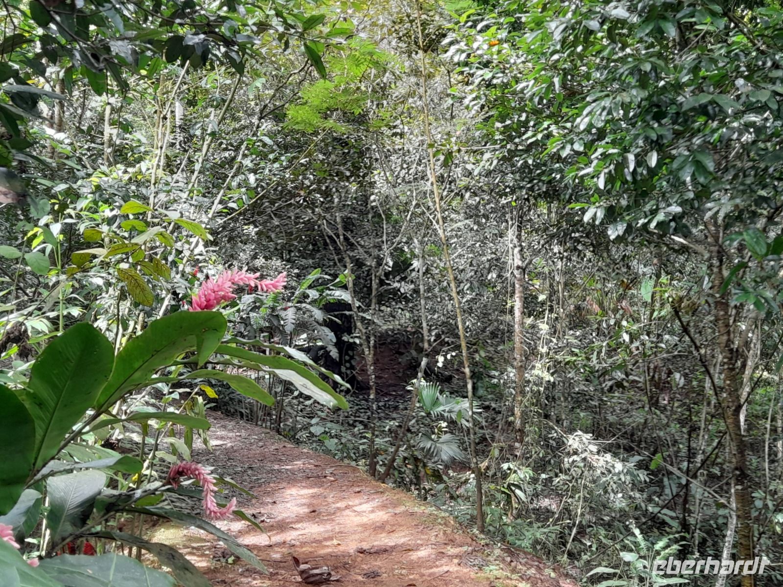 Eco Chontales &ndash; &copy; Sinah Witzig (Eberhardt TRAVEL)