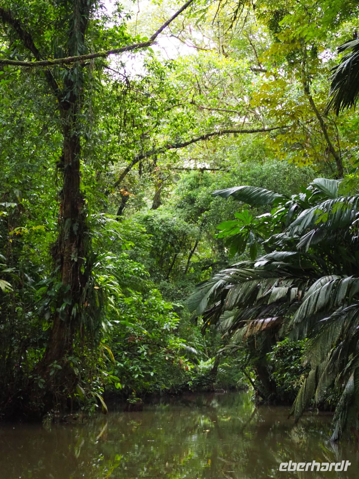 Tortuguero Nationalpark &ndash; &copy; Sinah Witzig (Eberhardt TRAVEL)