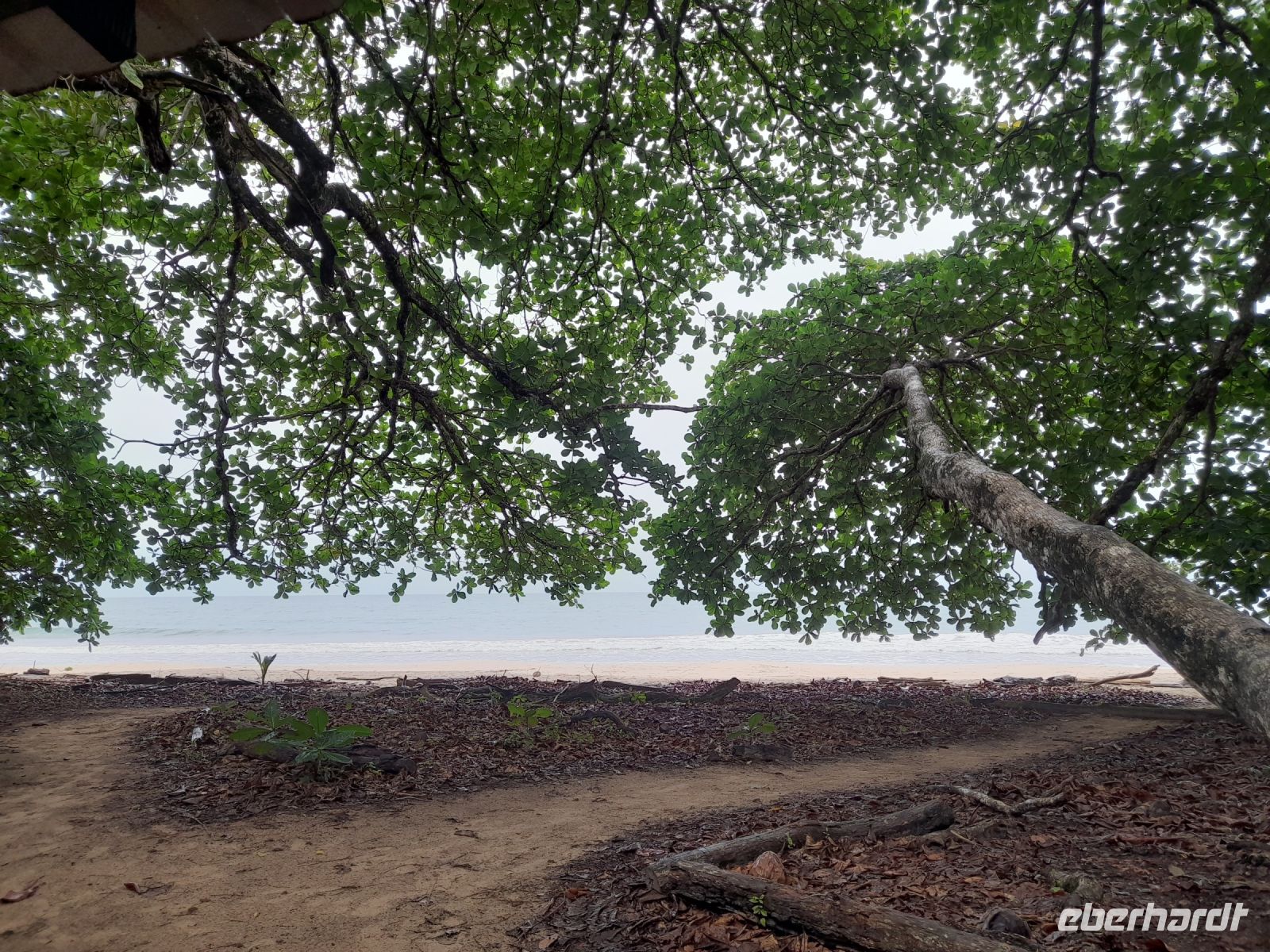 Cahuita Nationalpark &ndash; &copy; Sinah Witzig (Eberhardt TRAVEL)