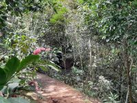 Eco Chontales &ndash; &copy; Sinah Witzig (Eberhardt TRAVEL)