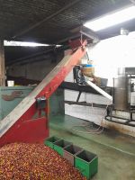 Kaffee-Tour &ndash; &copy; Sinah Witzig (Eberhardt TRAVEL)