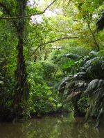Tortuguero Nationalpark &ndash; &copy; Sinah Witzig (Eberhardt TRAVEL)