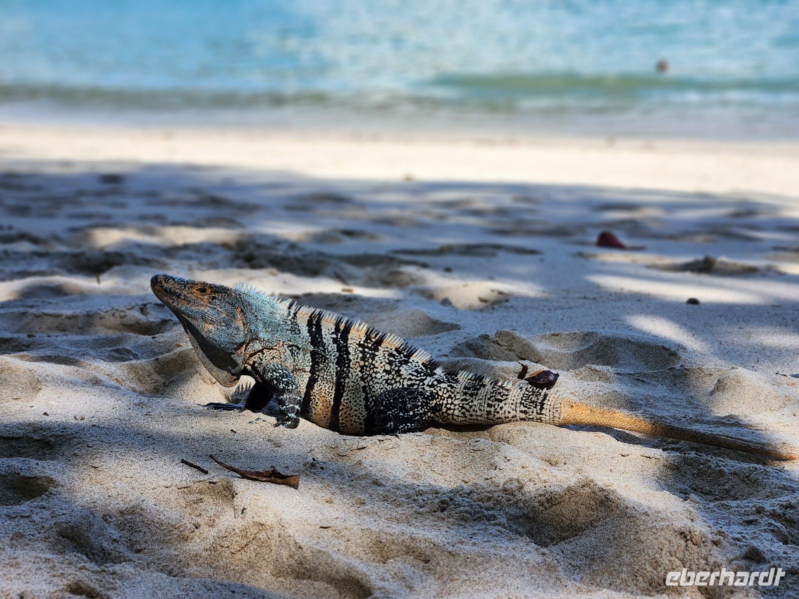 &copy; Petra Hady (Eberhardt TRAVEL)