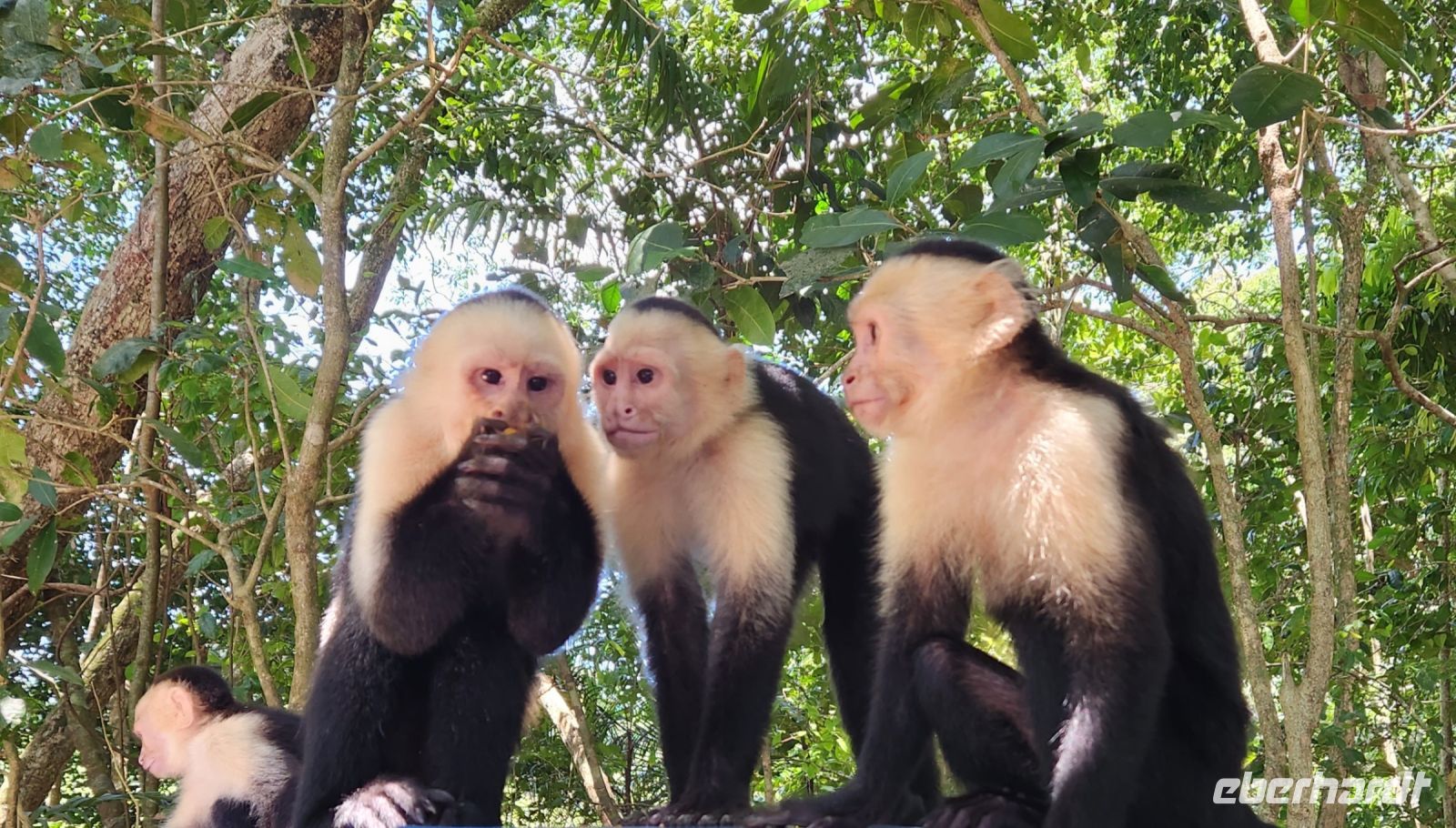 &copy; Petra Hady (Eberhardt TRAVEL)