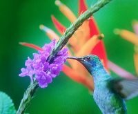 &copy; Petra Hady (Eberhardt TRAVEL)
