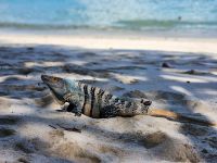 &copy; Petra Hady (Eberhardt TRAVEL)