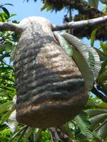 P1030477 &ndash; &copy; Kerstin Hugel (Eberhardt TRAVEL)