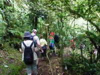 Nebelwald in La Paz &ndash; &copy; Kerstin Hugel (Eberhardt TRAVEL)