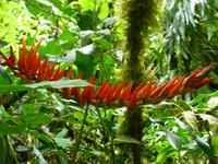 Nebelwald in La Paz &ndash; &copy; Kerstin Hugel (Eberhardt TRAVEL)