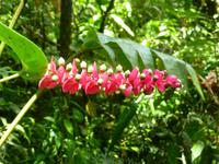 Nebelwald in La Paz &ndash; &copy; Kerstin Hugel (Eberhardt TRAVEL)