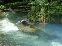Nationalpark Vulkan Tenorio - Rio Celestre &ndash; &copy; Kerstin Hugel (Eberhardt TRAVEL)