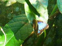 Bio Finca &ndash; &copy; Kerstin Hugel (Eberhardt TRAVEL)