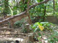 Reservat La Pumas &ndash; &copy; Kerstin Hugel (Eberhardt TRAVEL)