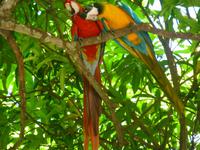 Aras &ndash; &copy; Kerstin Hugel (Eberhardt TRAVEL)