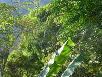 Monte Alto &ndash; &copy; Kerstin Hugel (Eberhardt TRAVEL)