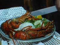Lobster &ndash; &copy; Kerstin Hugel (Eberhardt TRAVEL)