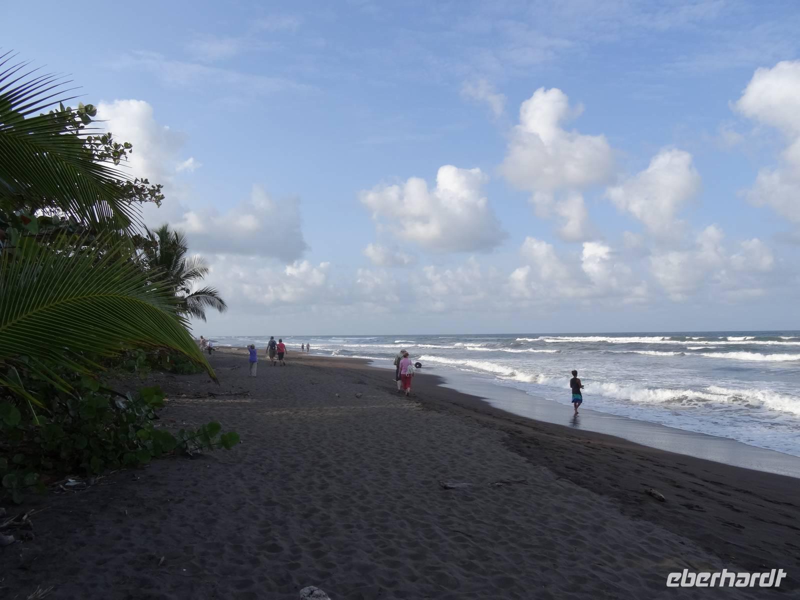Tortuguero Strand &ndash; &copy; Ralf Mehnert (Eberhardt TRAVEL)