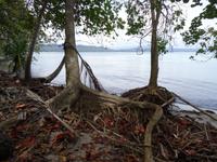 Cahuita Nationalpark &ndash; &copy; Ralf Mehnert (Eberhardt TRAVEL)