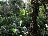 Danaus Eco Centre &ndash; &copy; Ralf Mehnert (Eberhardt TRAVEL)