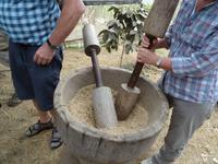 Kaffee & Schokoladentour in Monteverde &ndash; &copy; Ralf Mehnert (Eberhardt TRAVEL)