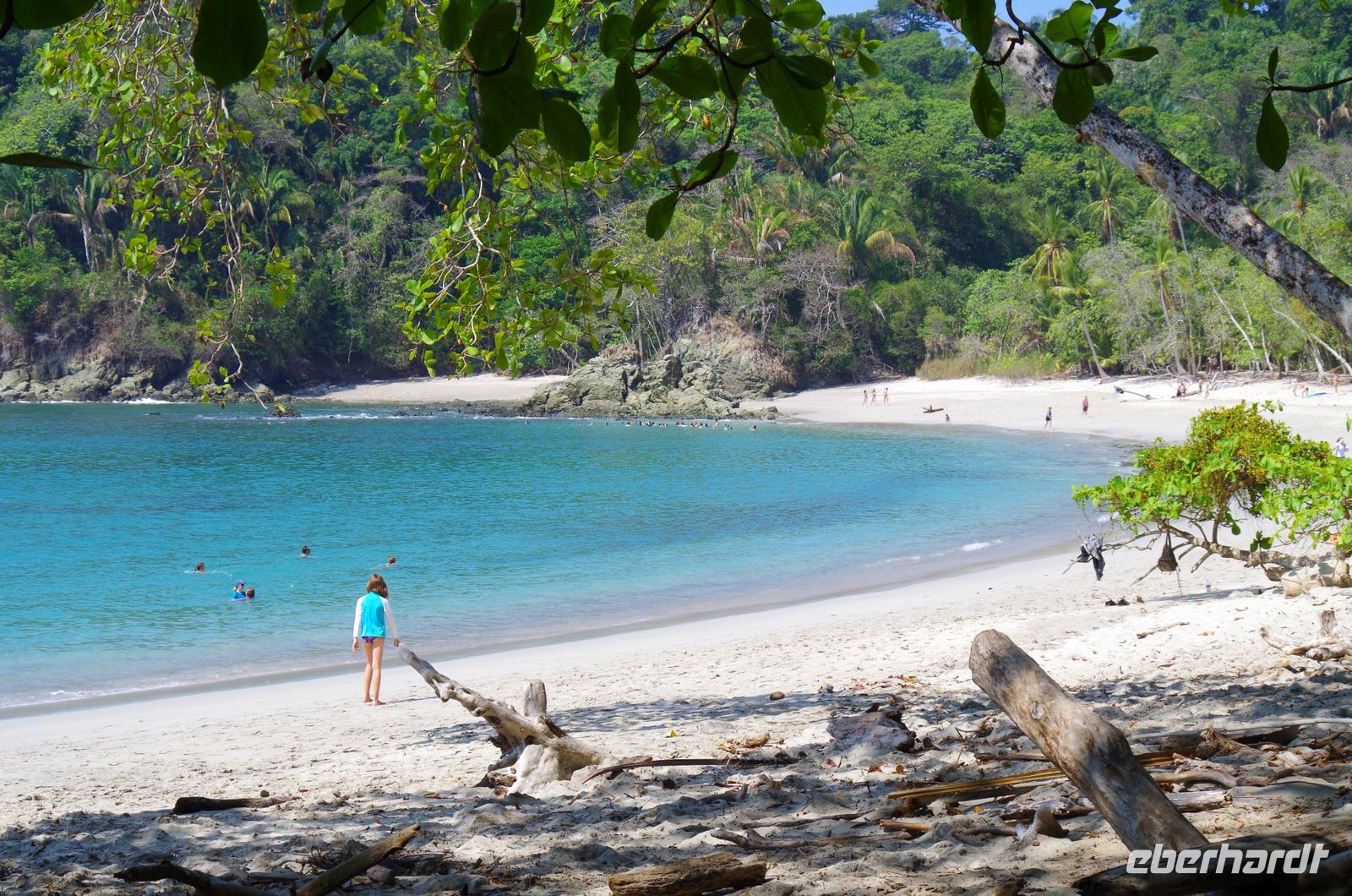 Manuel Antonio Nationalpark &ndash; &copy; Astrid Fuhse (Eberhardt TRAVEL)