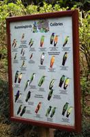 La Paz Waterfall Gardens: Kolibri-Arten &ndash; &copy; Astrid Fuhse (Eberhardt TRAVEL)