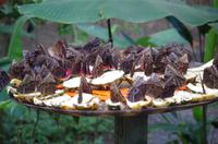 Mawamba Lodge &ndash; &copy; Astrid Fuhse (Eberhardt TRAVEL)